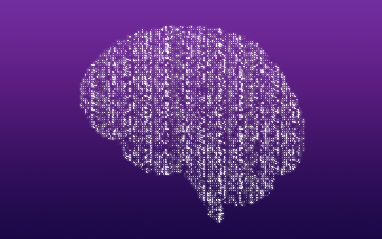 CC-0. https://pixabay.com/illustrations/brain-mind-think-thought-intellect-7293475/