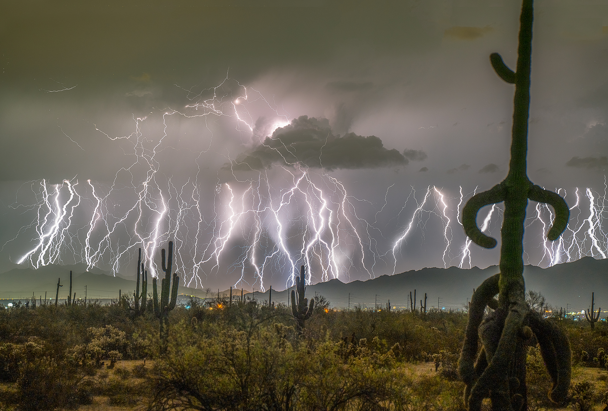 Photographer: Mr. Edward Mitchell (United States of America), https://creativecommons.org/licenses/by-nc-nd/2.0/deed.en
