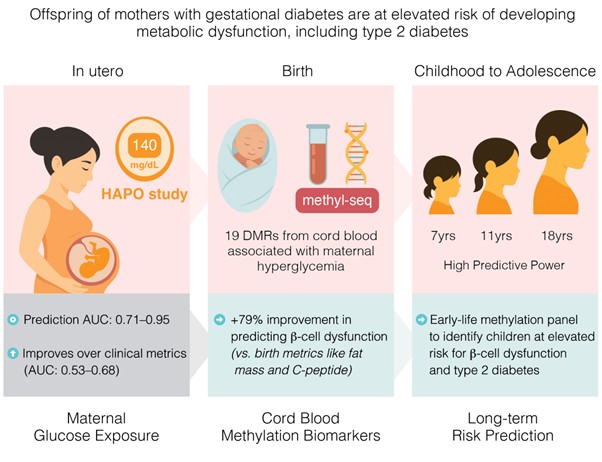Diabetes journal, American Diabetes Association