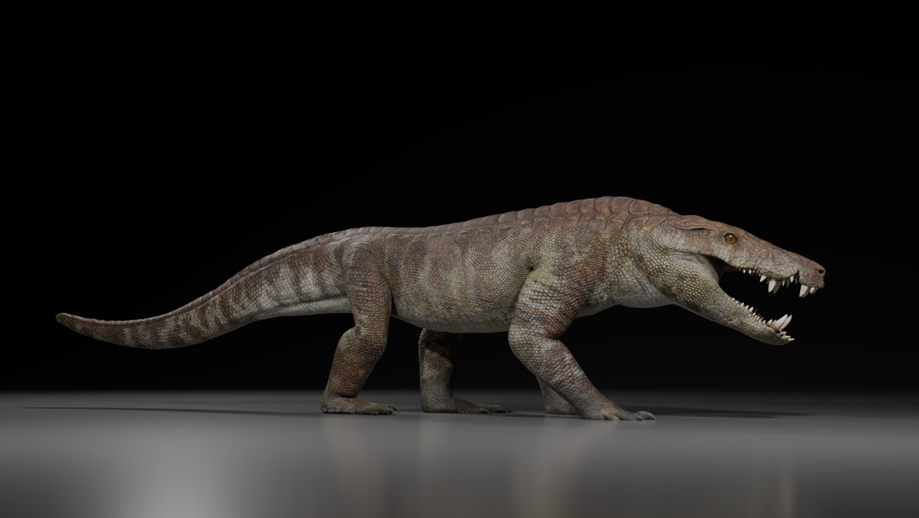 Kostensuchus atrox – life restauration, 3 meters long. Art by Gabriel Diaz Yanten.