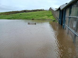 Tāwharanui Regional Park, Auckland