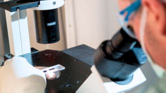 New research has shown why preserving lymph nodes, often removed near tumours to prevent cancer spread, could improve patient outcomes and make immunotherapies more effective.