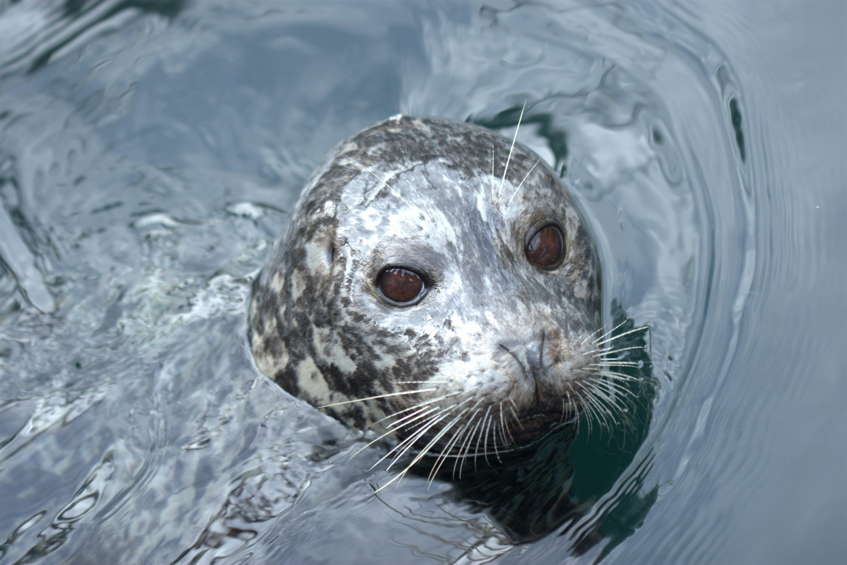 PHOTO: Ernest Boyd on Unsplash
