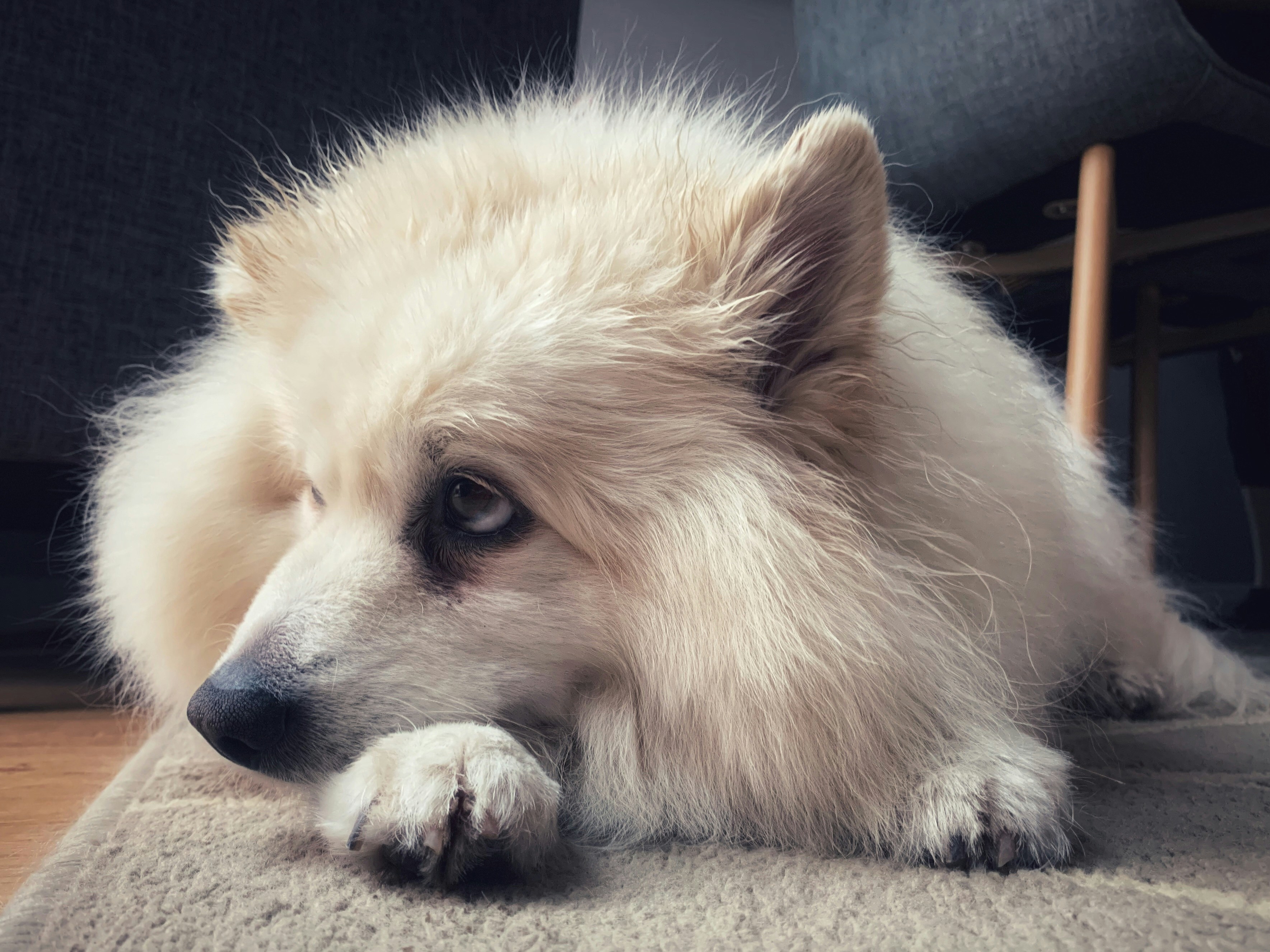 PHOTO: Belinda Fewings on Unsplash