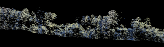 LiDAR forest cross section. Courtesy Patrick Norman NESP Resilient Landscapes  