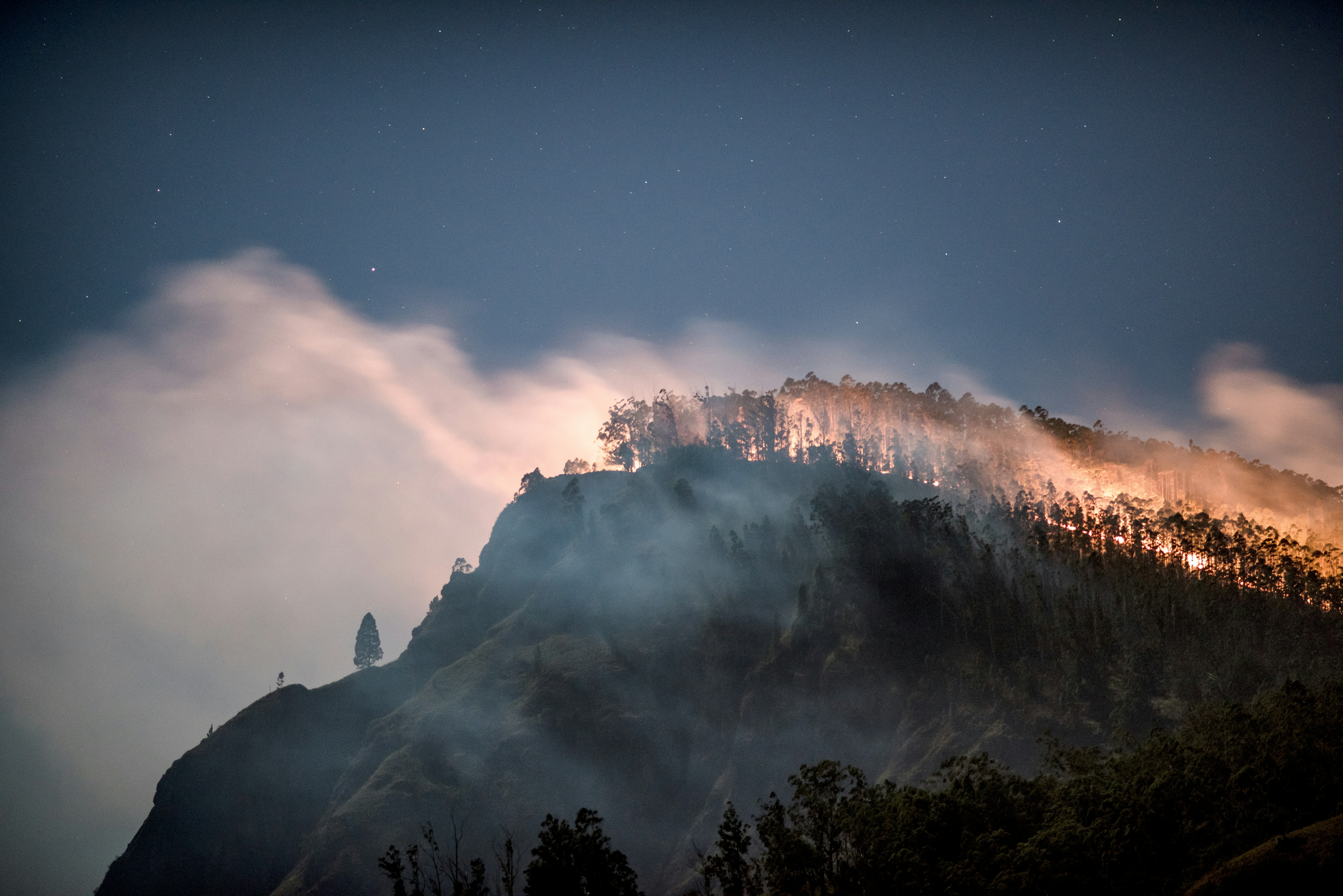 Photo by Norman Meyer on Unsplash