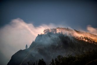 2024 saw carbon dioxide levels in the world's atmosphere hit a record high, according to the World Meteorological Organization (WMO). In its annual greenhouse gas bulletin, the WMO says the average level of CO2 was 423.9 parts per million, a surge of 3.5 ppm from 2023 levels, which is the largest recorded annual increase since modern measurements began in 1957. They say the likely reason for this record surge was extensive emissions from wildfires, while record warm temperatures hampered the ability of forests and the ocean to capture and store carbon.