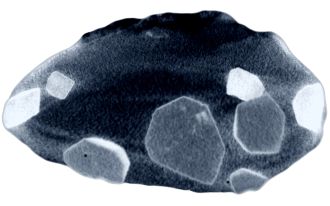 X-ray computed tomography reveal crystals in  Gallium 