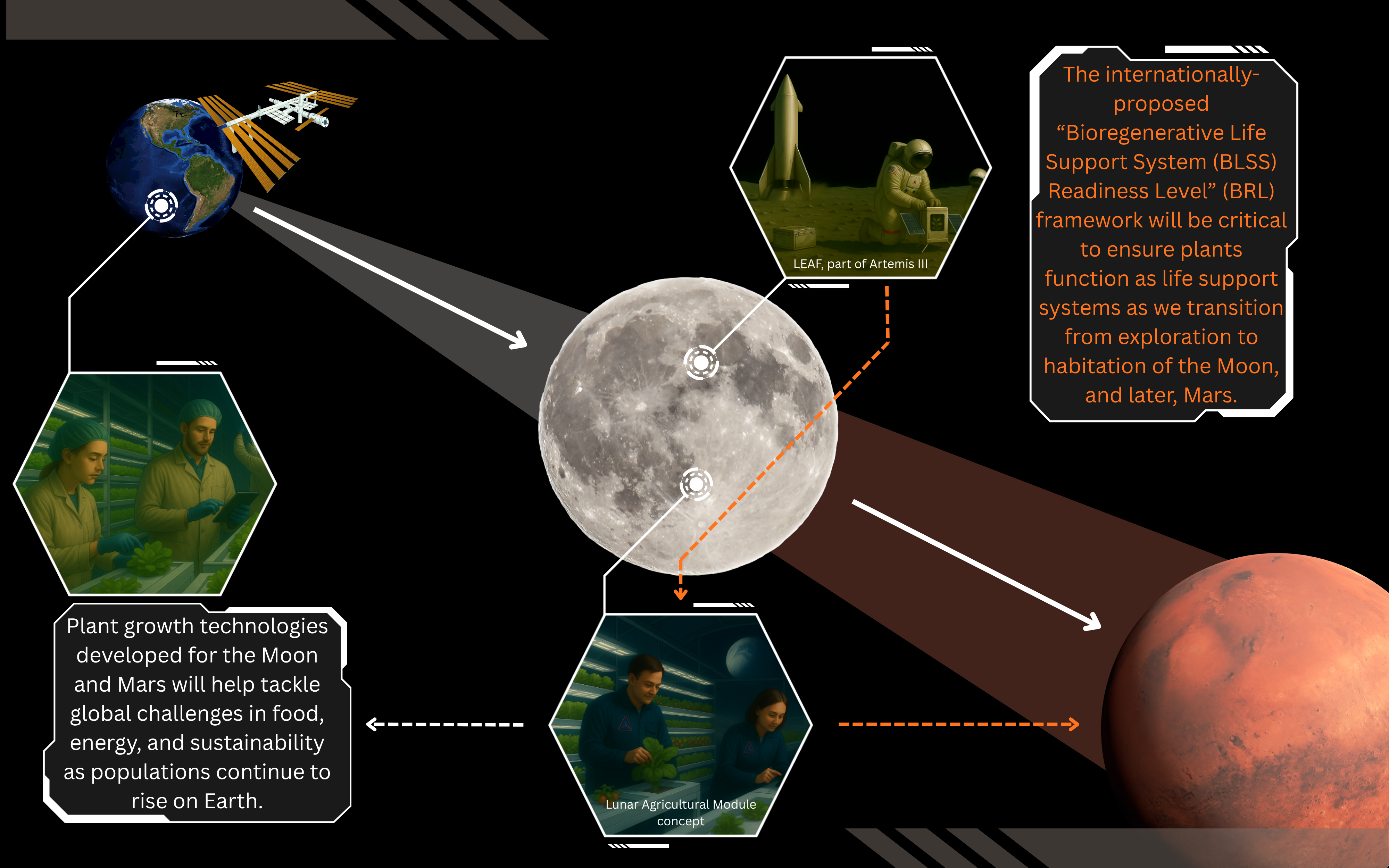 Image by Dr L. Fountain