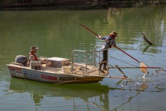 An electrofishing boat used to assess the diversity of fish species 