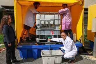 Professor Sarah Harmer 