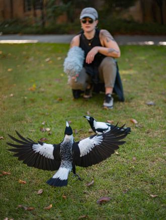 Dr Stephanie Mason with juvenile magpies 