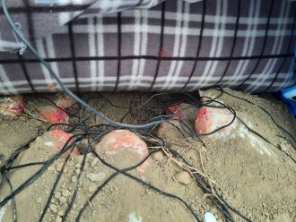 Clutch lateral view with incubator on top