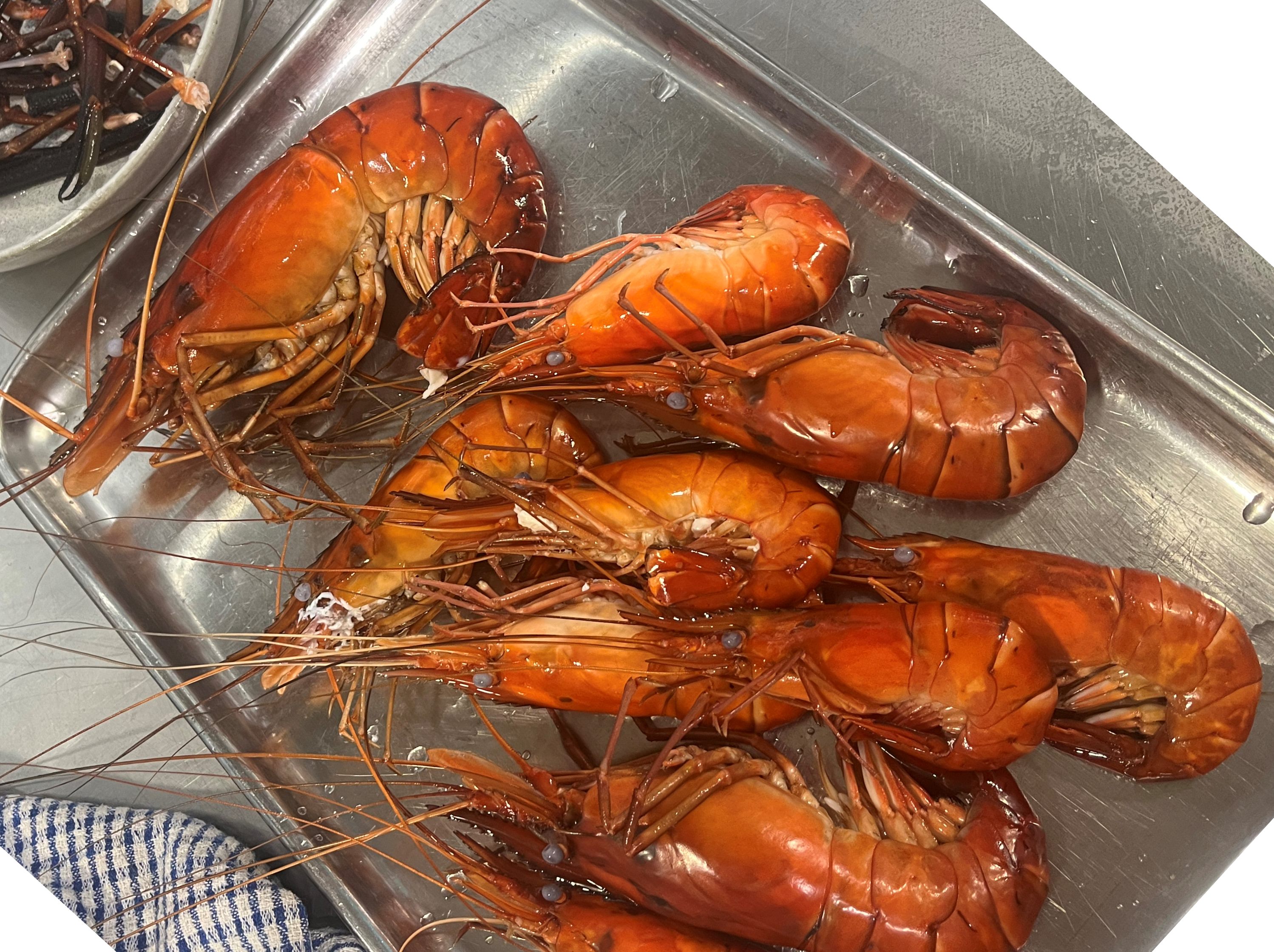 Cooked giant freshwater prawns. Photo Hope Vale Foundation