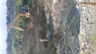 Excavations that found fossil bats.