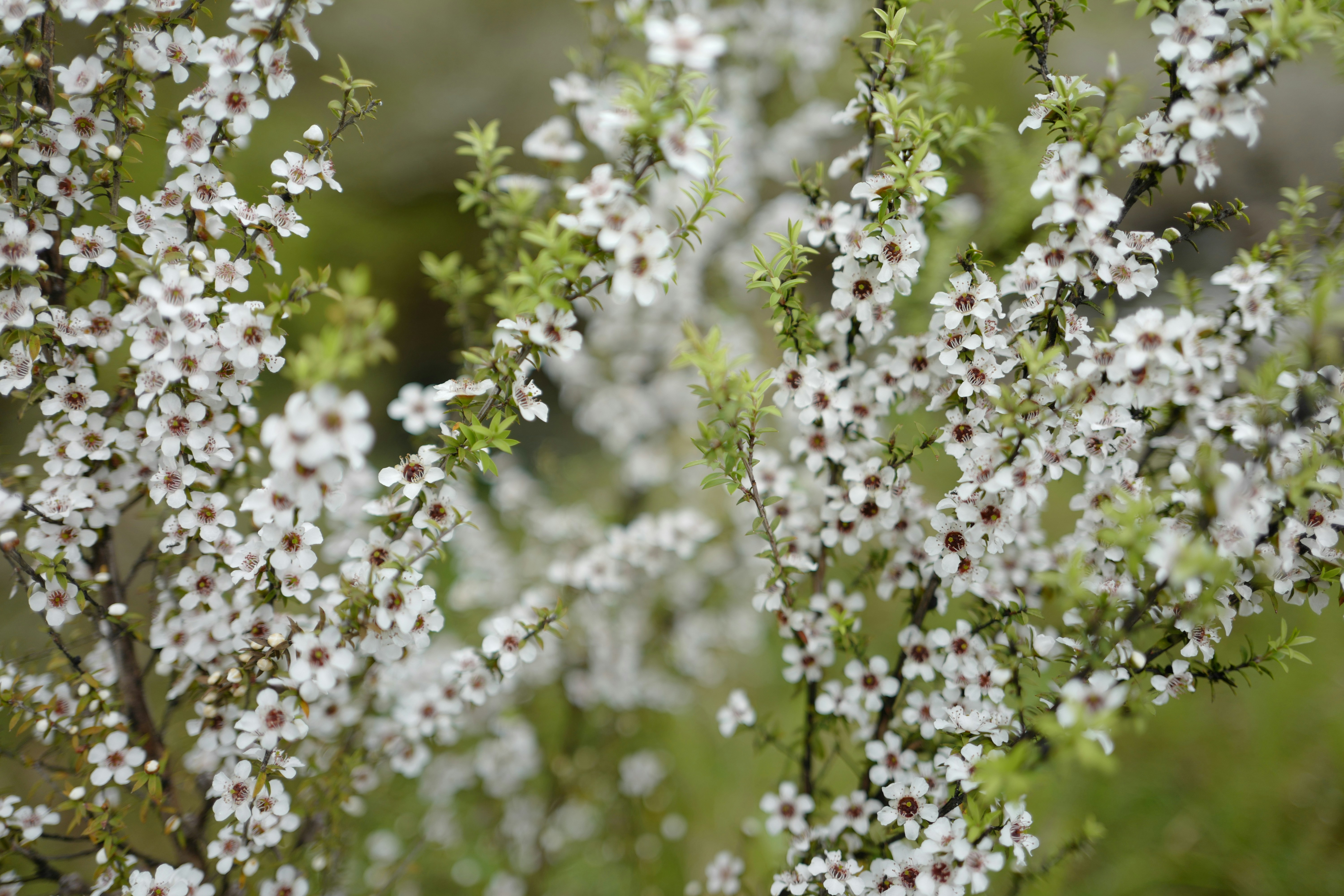 PHOTO: Jennifer Yung on Unsplash