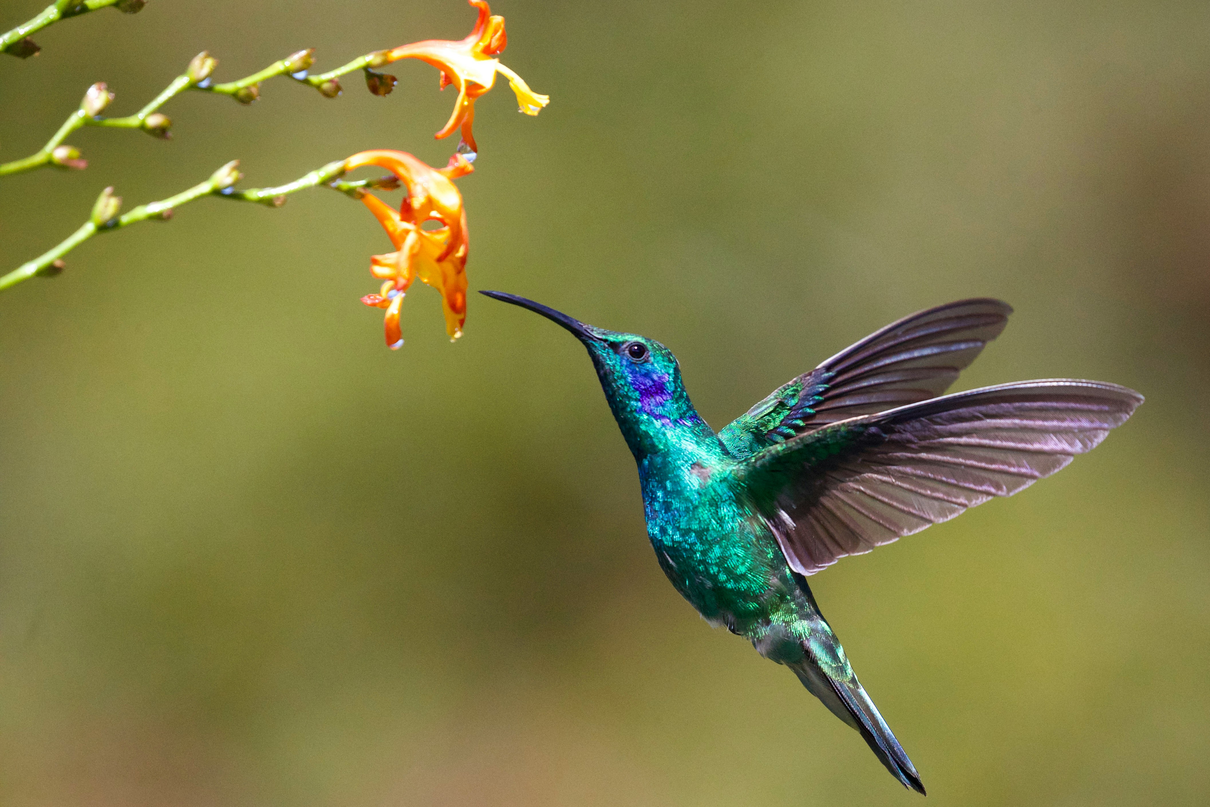 Photo by James Wainscoat on Unsplash