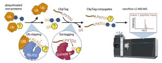 Glycogen_NoPro Workflow