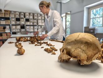 Analysis of a Skeleton from the Early Medieval Site of Altheim 
