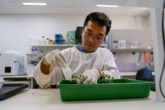 Dr Viet-Cuong Han, from the Centre for Crop and Disease Management