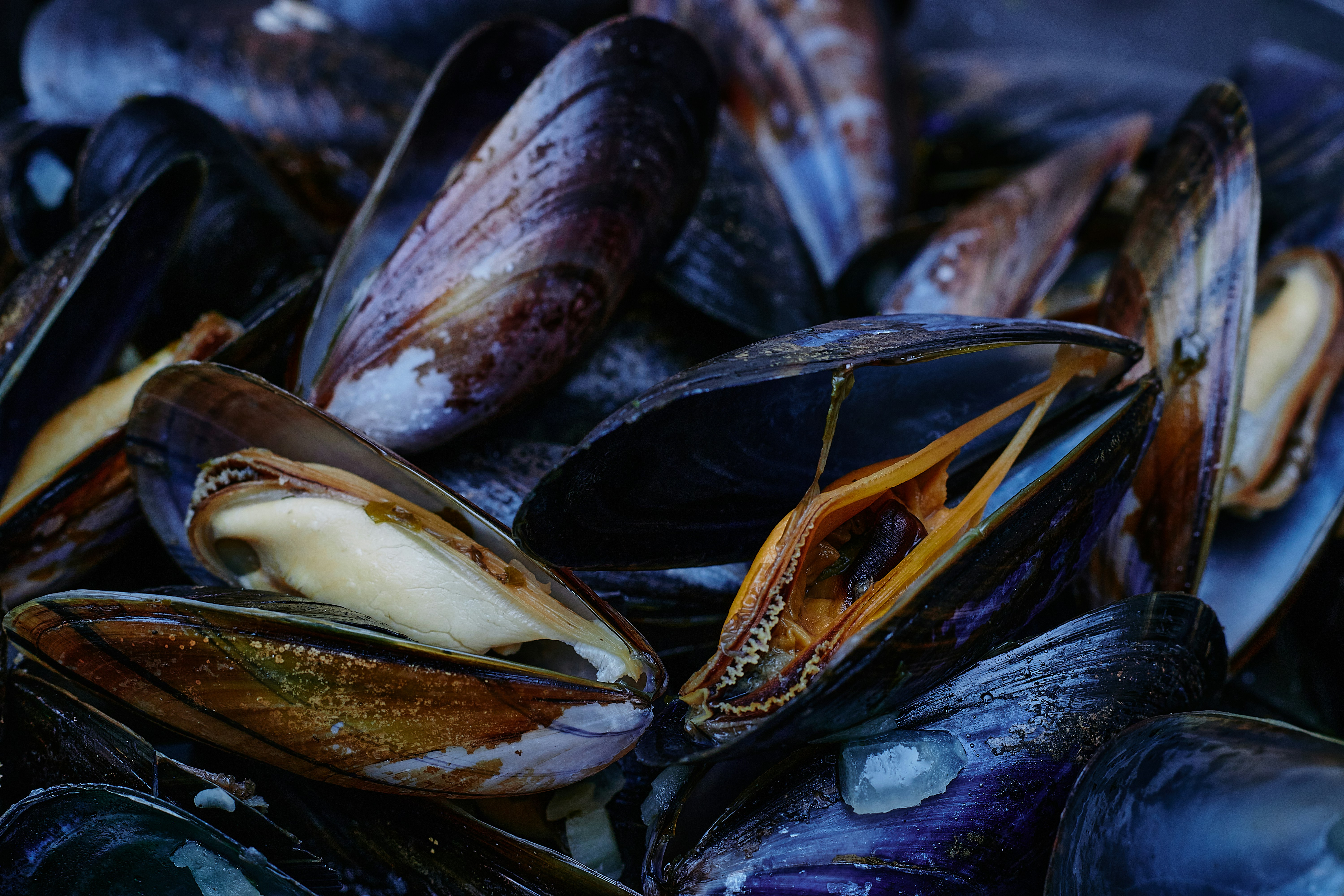 Photo by Gil Ndjouwou on Unsplash