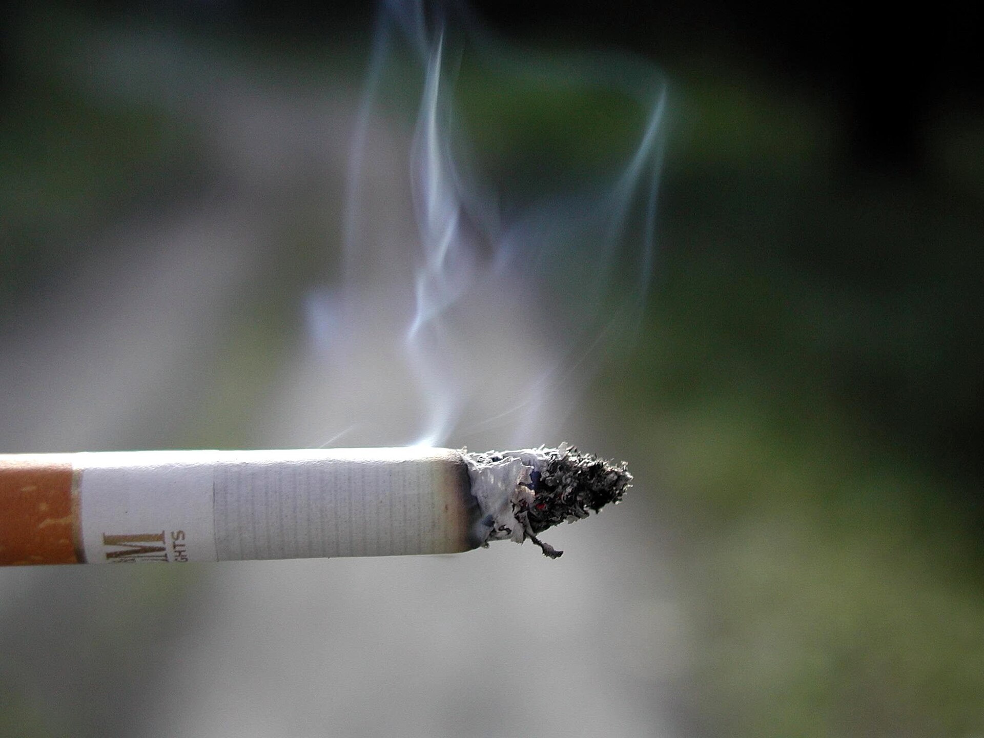 This is particularly important given that tobacco use causes more than 8 million deaths globally each year, according to the World Health Organization, underscoring the need for more effective public health messaging strategies. Public domain (Wikimedia).