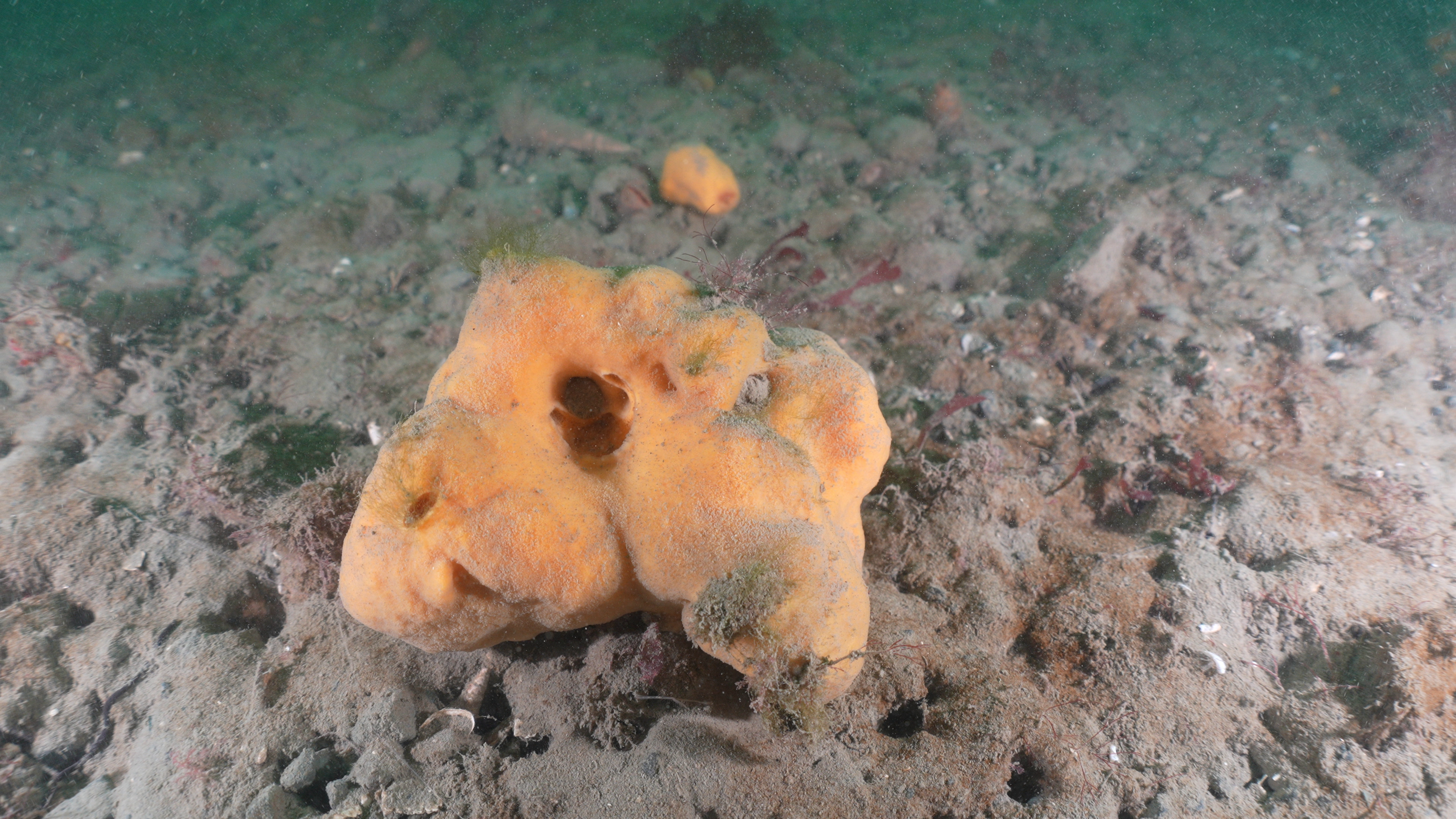 Photo by James Bell, Victoria University of Wellington