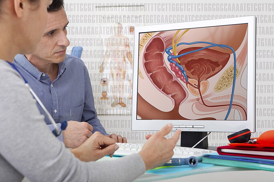 The World Health Organization (WHO) estimates that approximately 1.5 million new cases of prostate cancer occur globally each year, making it the second most common cancer among men and the fourth most common cancer overall. Credit: Darryl Leja, NHGRI, Wikimedia Commons
