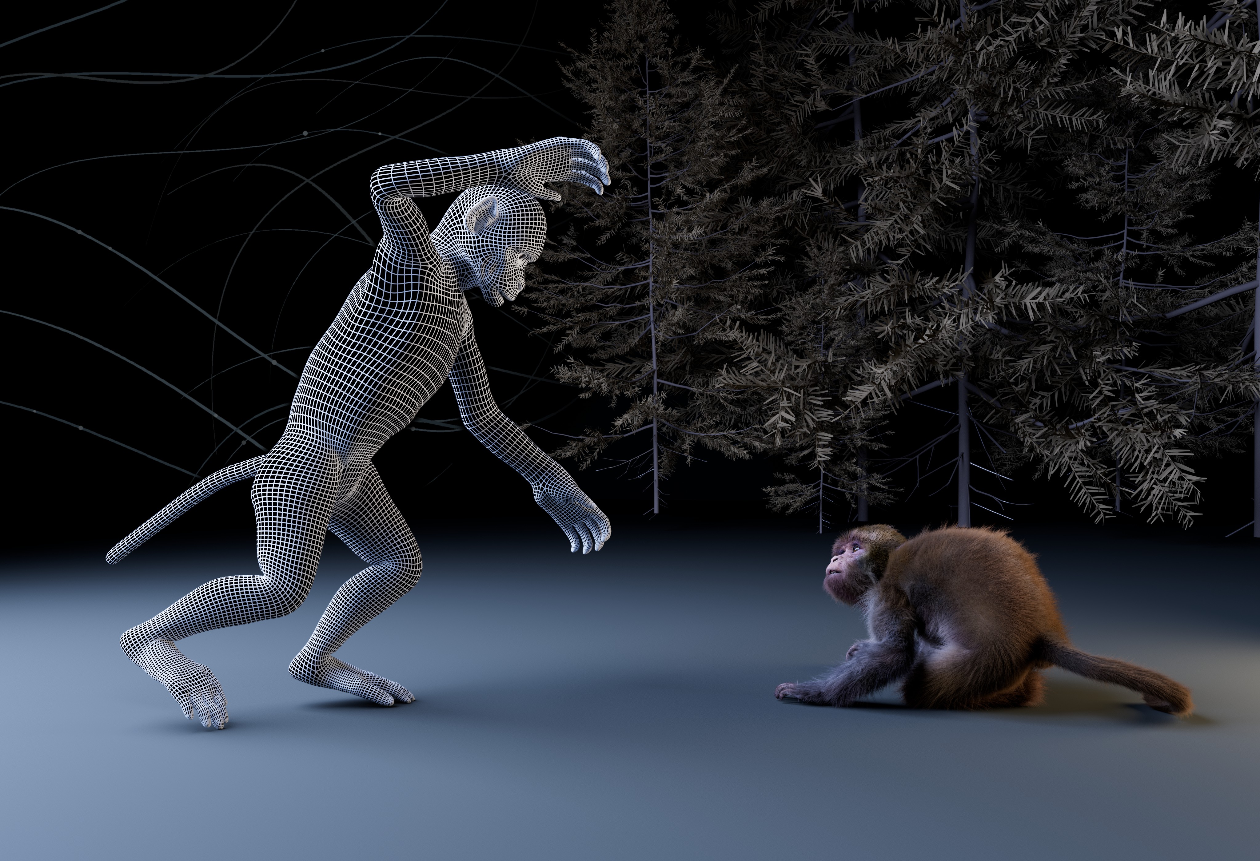  Image credit: Lucas Martini et al. (CC-BY 4.0, https://creativecommons.org/licenses/by/4.0/)