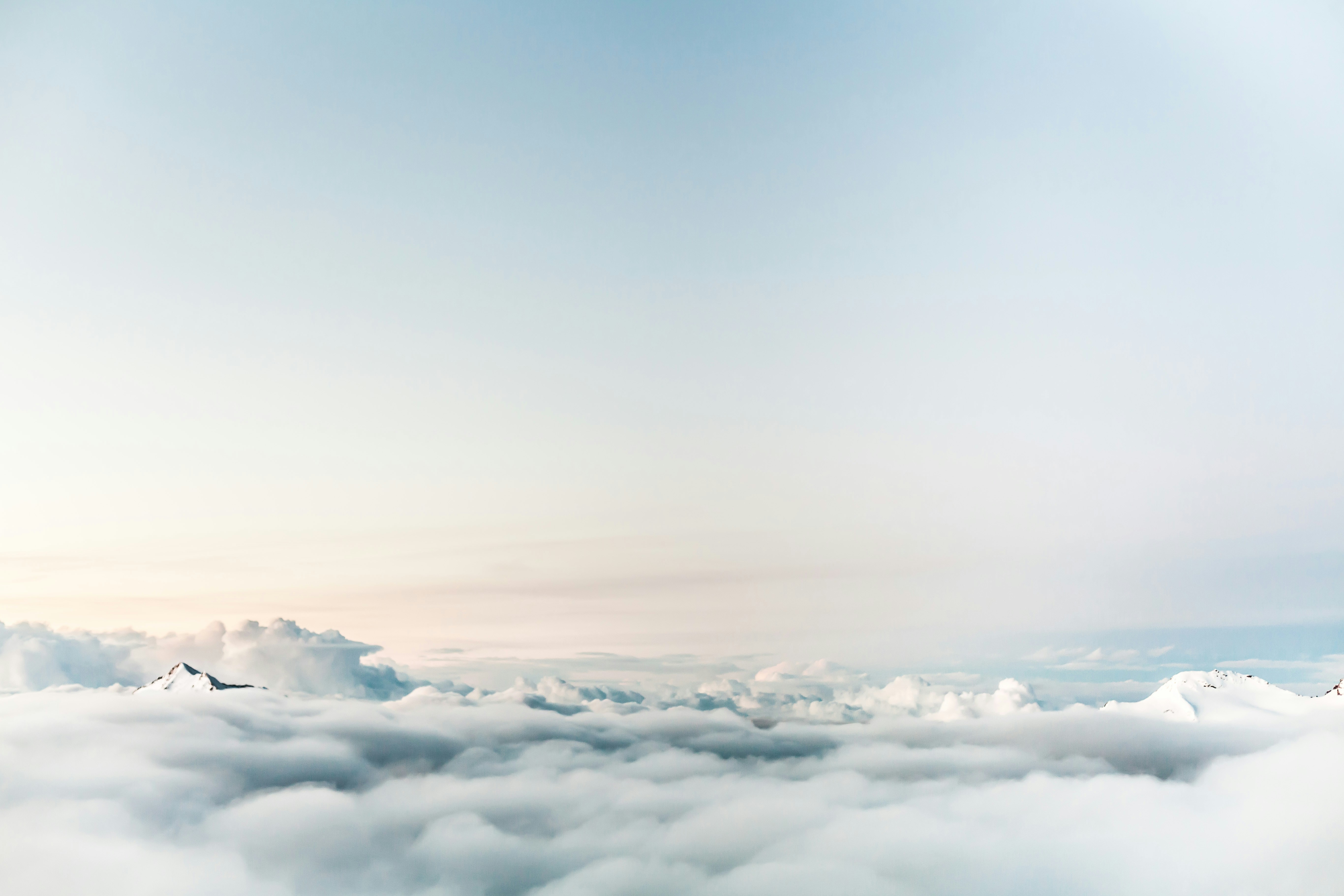 Photo by Dominik Schröder on Unsplash