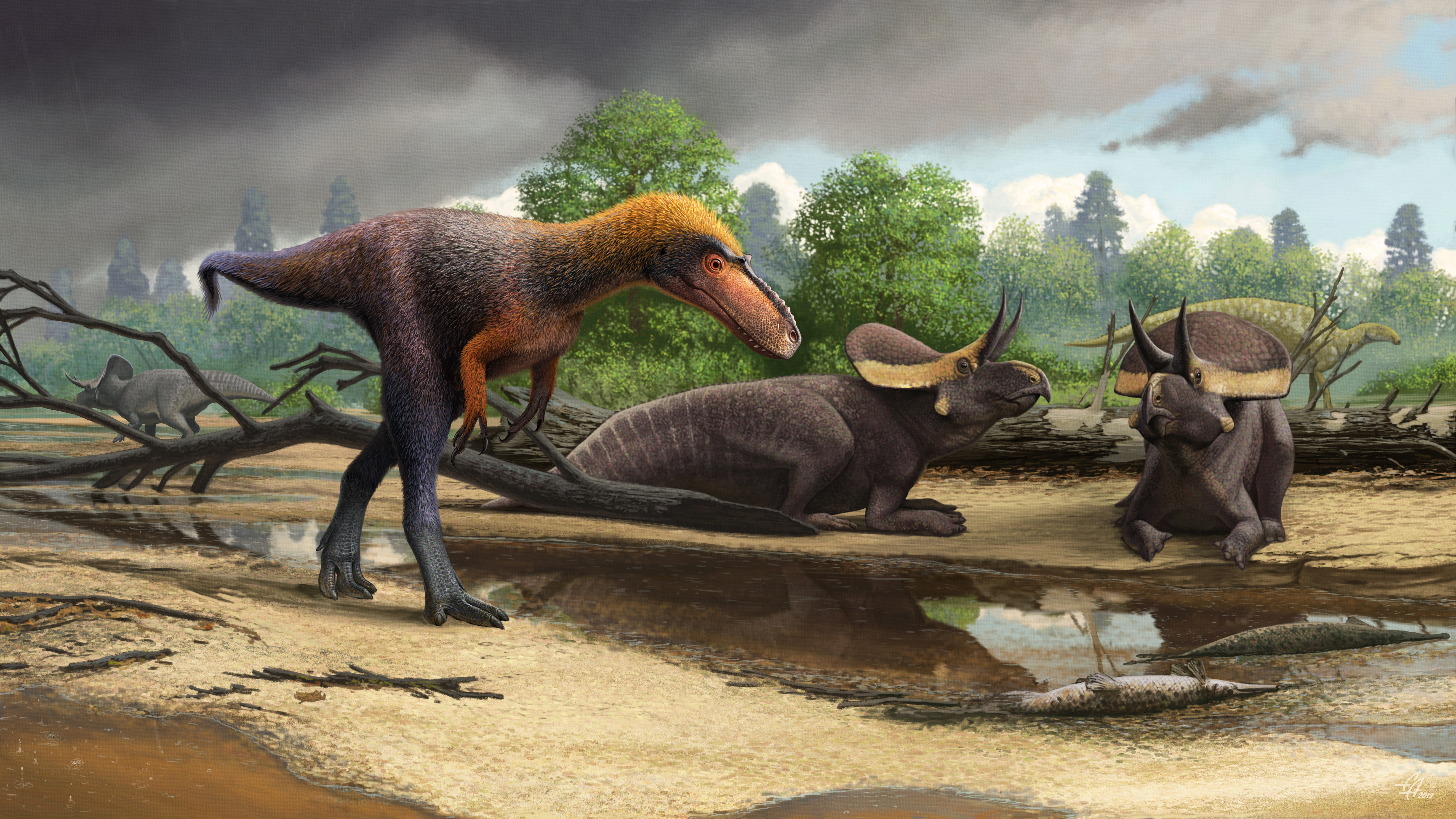 Reconstruction of the tyrannosauroid Suskityrannus hazelae from the Late Cretaceous (~92 million years ago) near the small ceratopsoid Zuniceratops and the hadrosauromorph Jeyawati in the background.  Credit: Andrey Atuchin Email: aatuch@yandex.ru