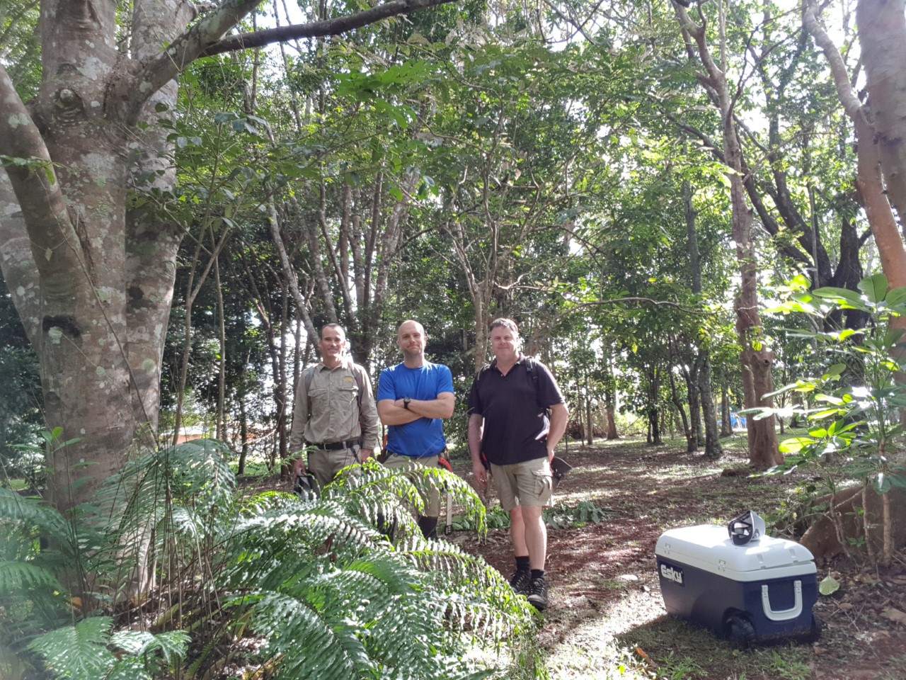 Plant Rescue Mission - Scimex