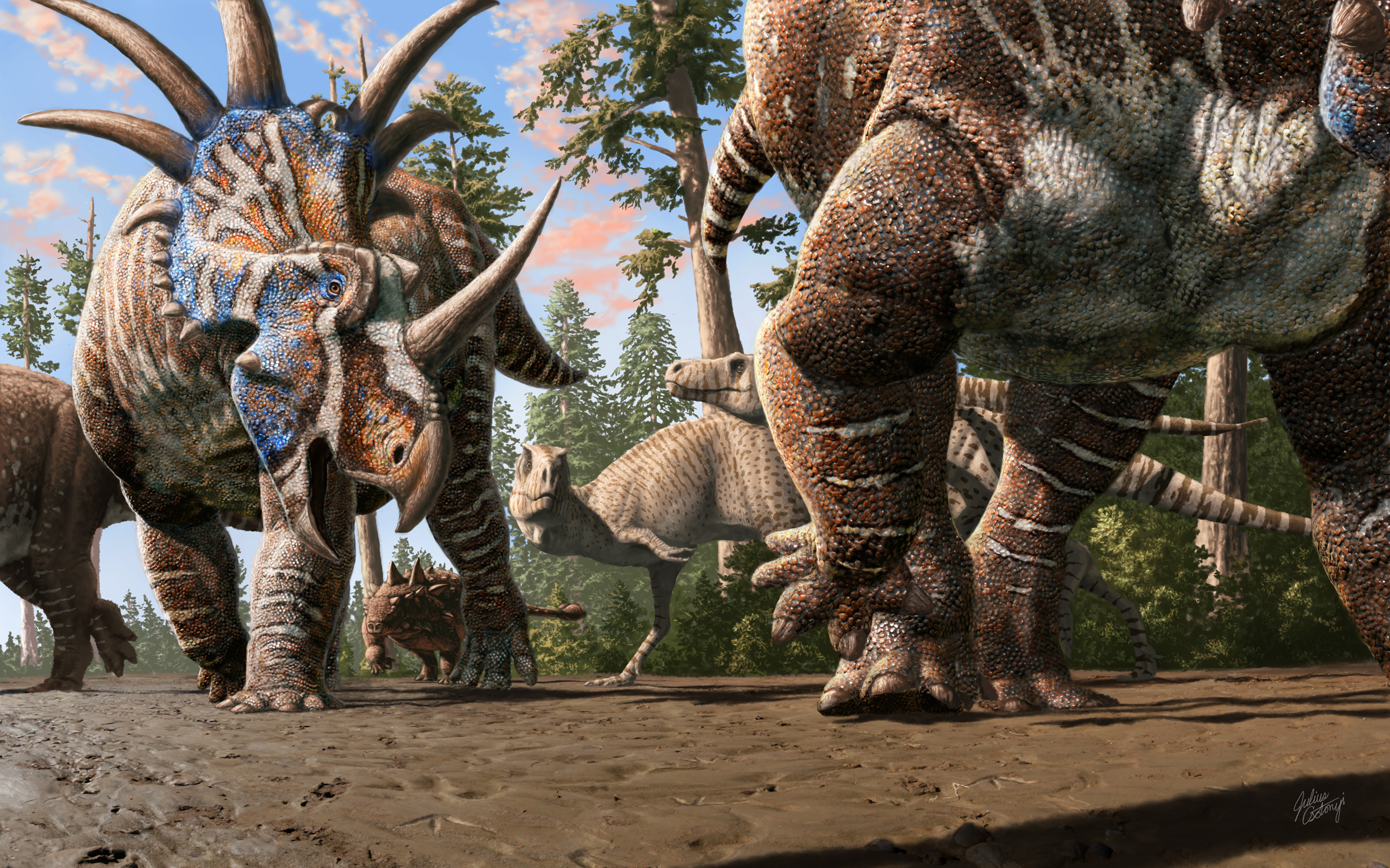 A herd of ceratopsians (Styracosaurus albertensis) accompanied by an ankylosaur (Euplocephalus tutus) walk through an old river channel under the watchful eyes of two tyrannosaurs (Gorgosaurus libratus). Artwork by Julius Csotonyi.