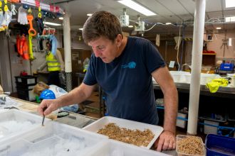 Dr Tim O'Hara sorting ophiuroids onboard RV Investigator