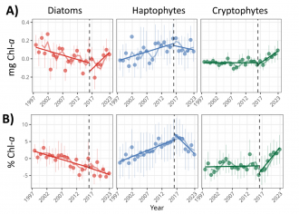 Change in phytoplankton composition 1997-2023