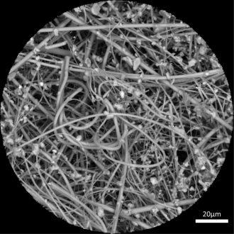Electron microscope image