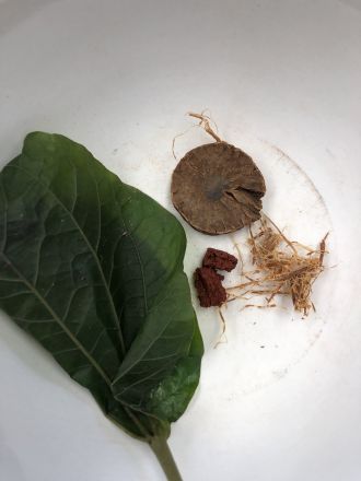 Modern betel quid ingredients