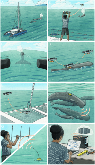 Tagging method overview (illustration)