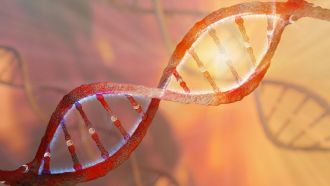 A new study has revealed that chemical tags once regarded as genetic clutter are in fact powerful gene silencers — and removing them could unlock safer treatments for inherited blood disorders.