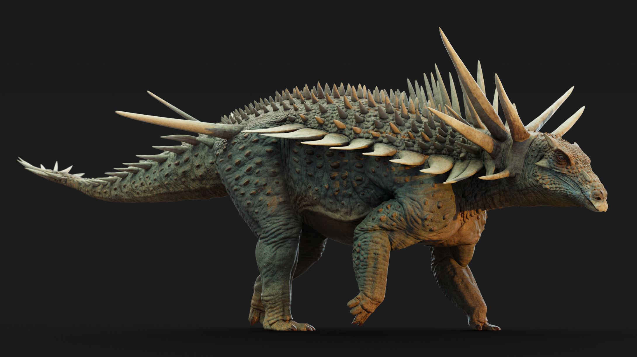 A life reconstruction of Spicomellus afer by Matthew Dempsey
