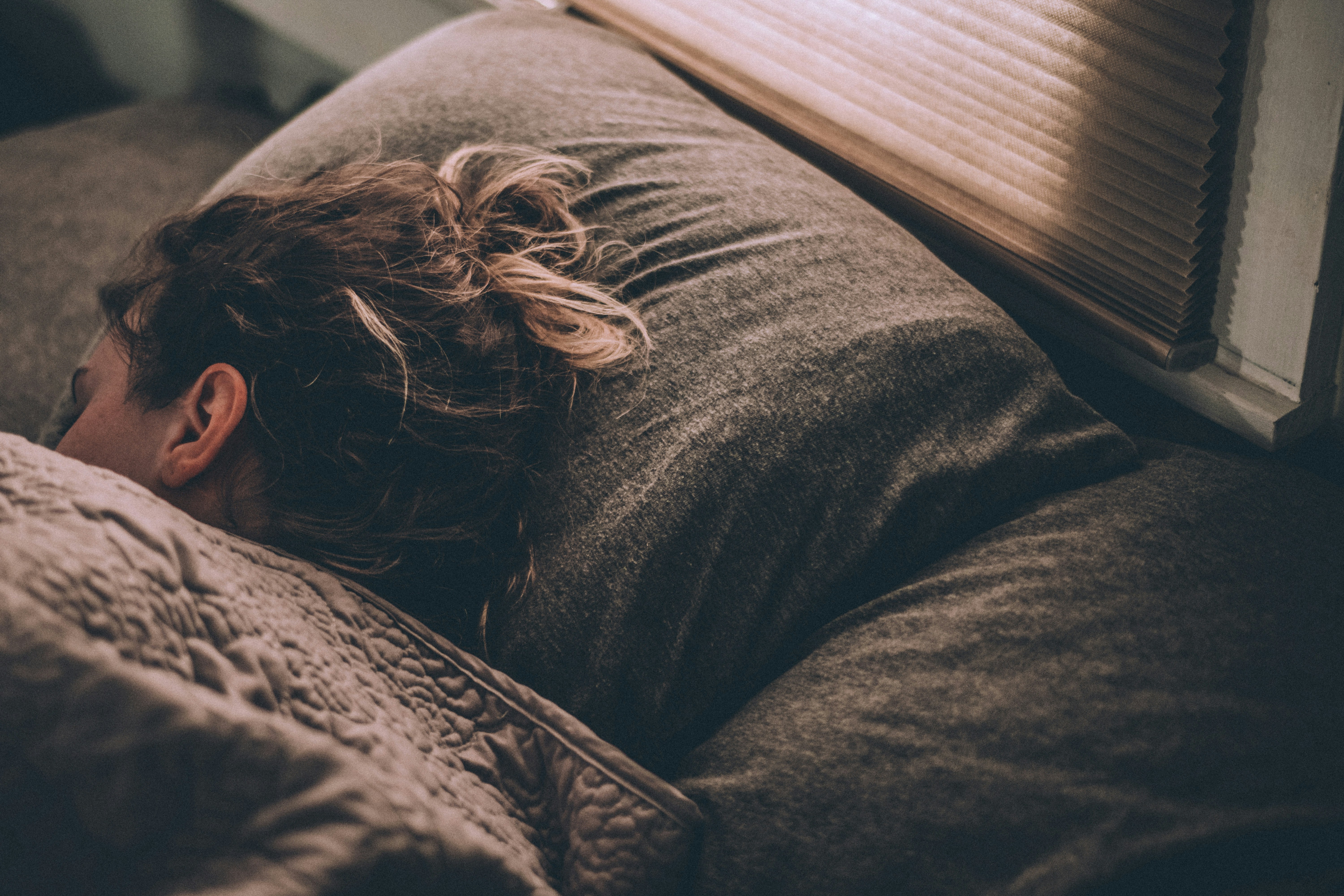 PHOTO: Greg Pappas on Unsplash