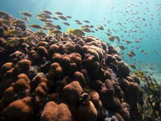 La Bocana Reef