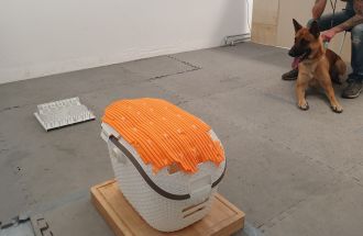 Image 4