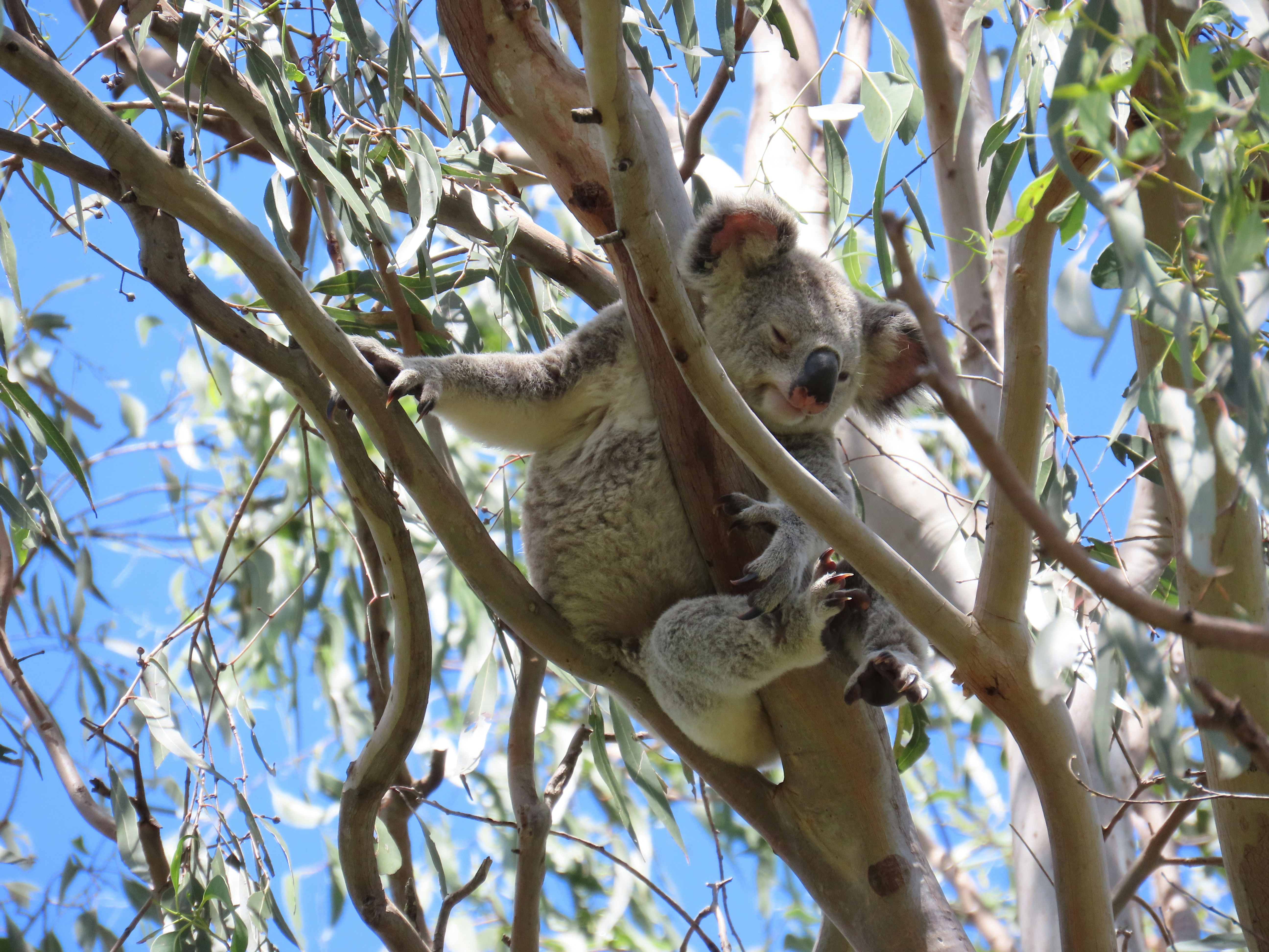 Photo by Robyn Cockburn on Unsplash