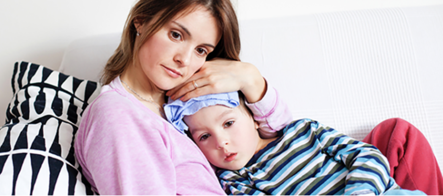 Food Safety Information Council