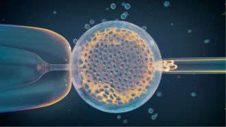 A routine IVF embryo biopsy for clinical genetic testing