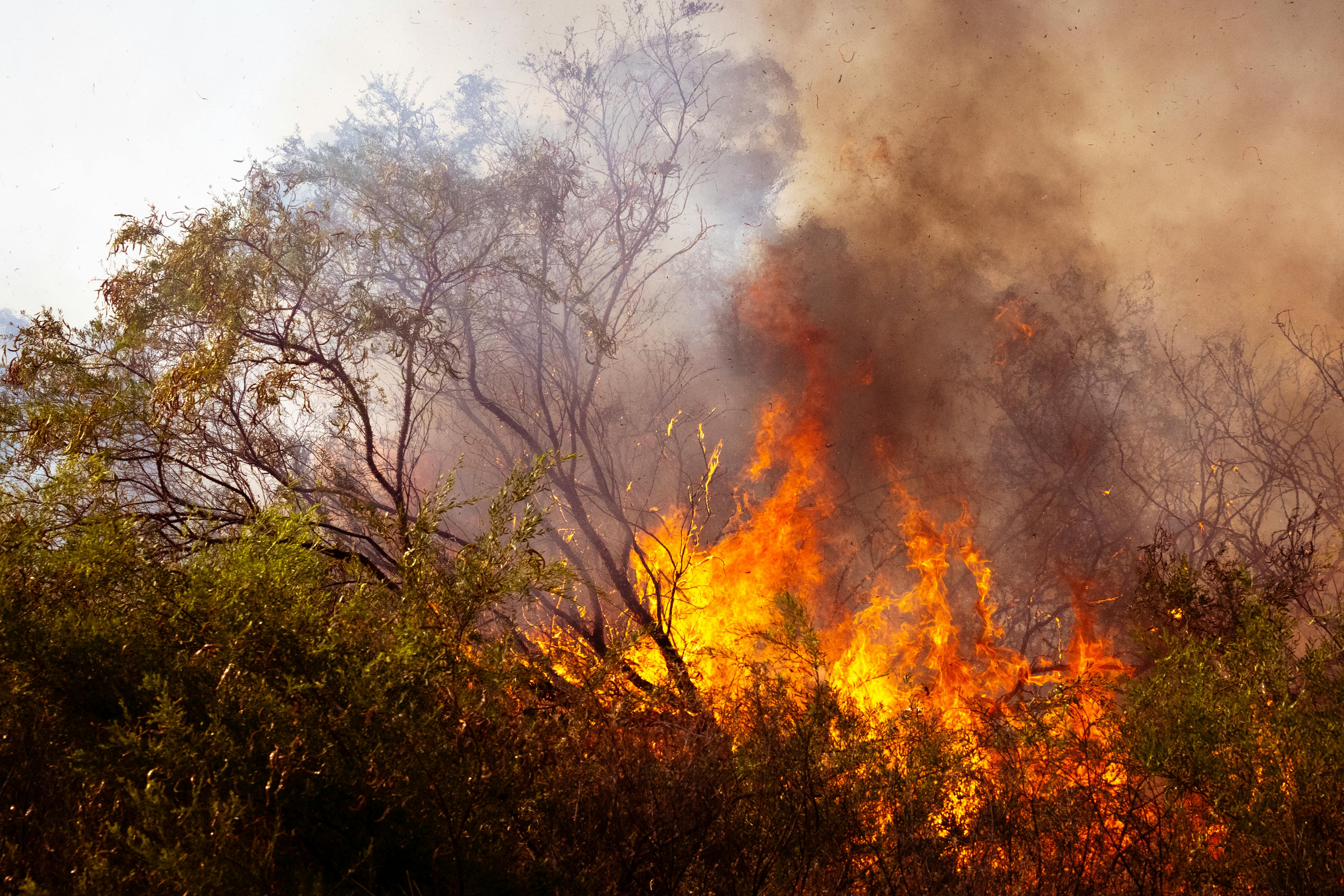 A bushfire in Australia