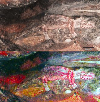 Red and white painting of a thylacine, Main Gallery, Injalak Hill