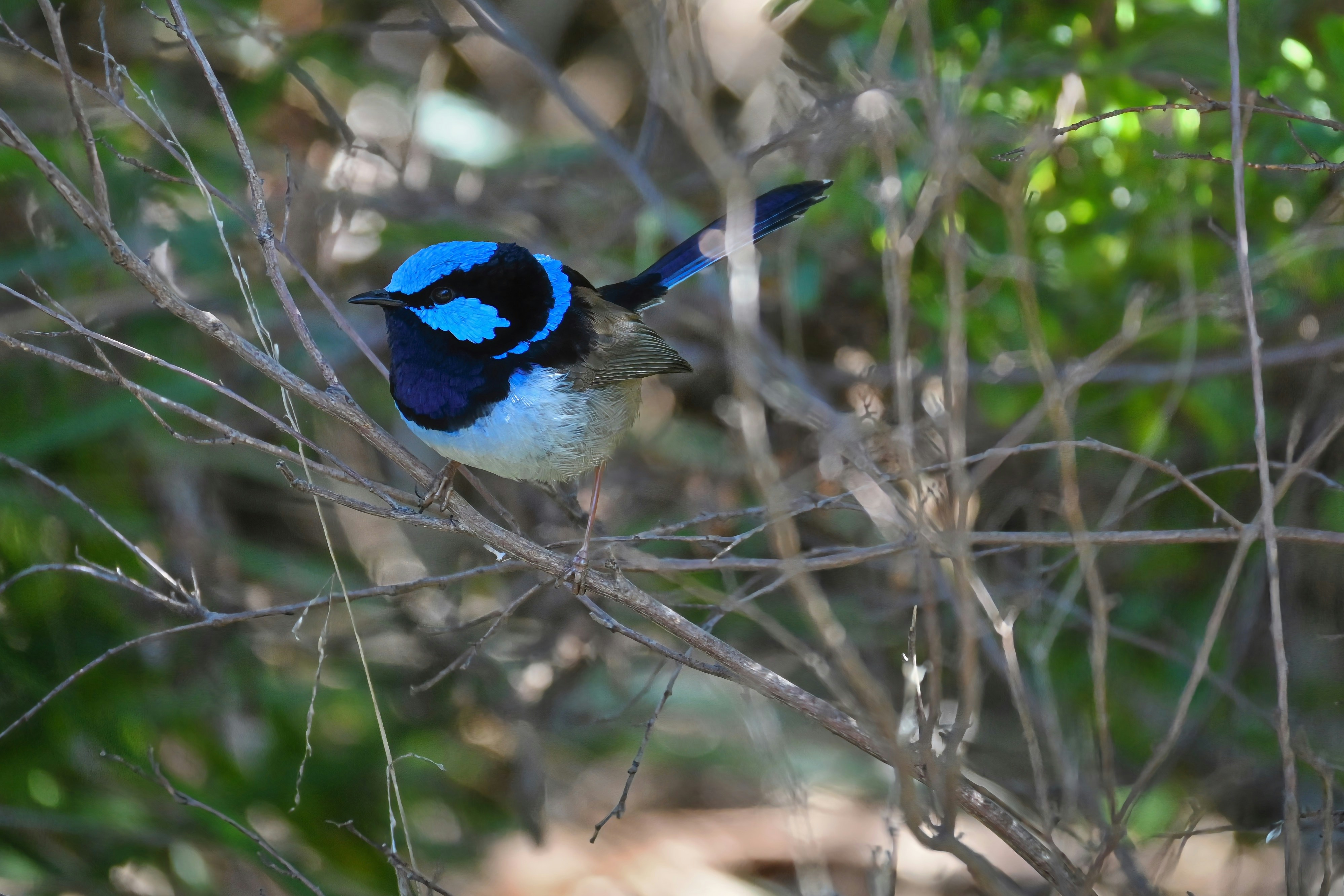 Photo: Enguerrand Photography/Unsplash