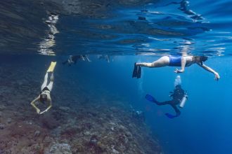 Snorklers and scuba divers in Indonesia